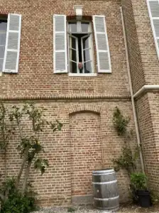 fotograaf Rinke.webp